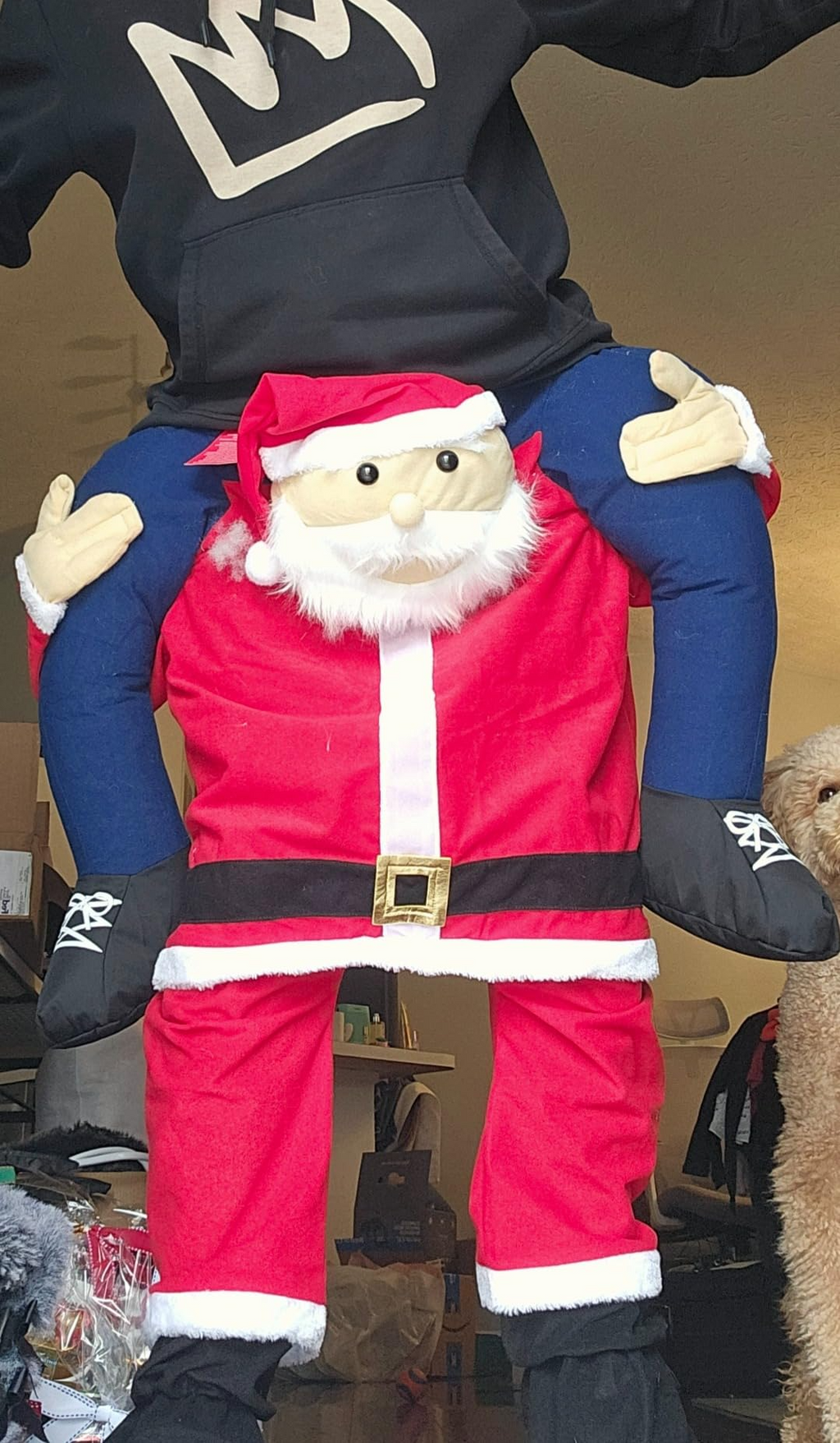 Morph Santa Piggyback Costume